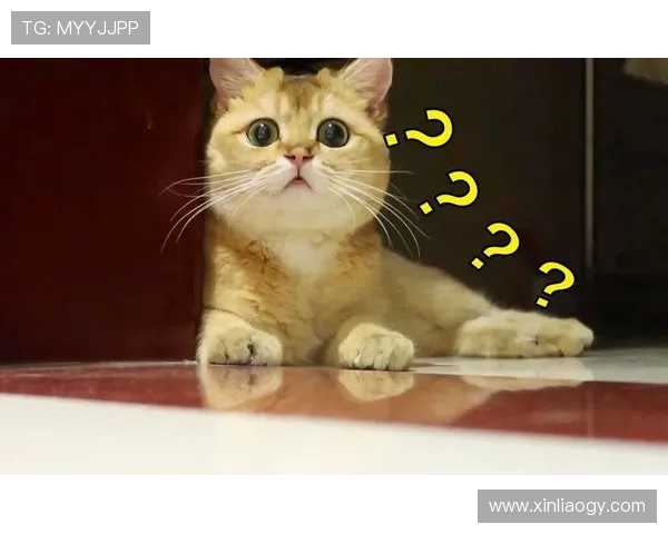 缃楅┈璇猴細閭d笉鍕掓柉 1800 涓囨鎶ヤ环閮界伒闂ㄧ灏忕背鏋楋紝璋堝垽杩涘叆鍏抽敭闃舵